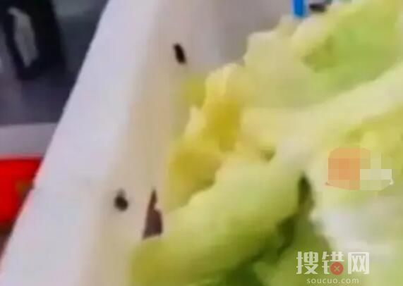 中学食堂后厨爬满苍蝇 教育局回应 到底是不是真的？