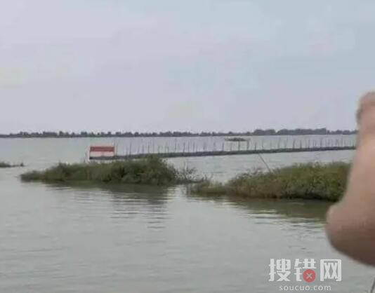 官方回应网红称1800万包下高邮湖 为什么包湖？