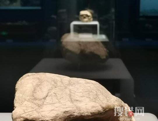 湖北发现距今百万年人类头骨化石 为什么保存这么久？