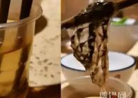 鱼皮一烫就化 男子质疑是科技与狠活 背后真相实在让人惊愕