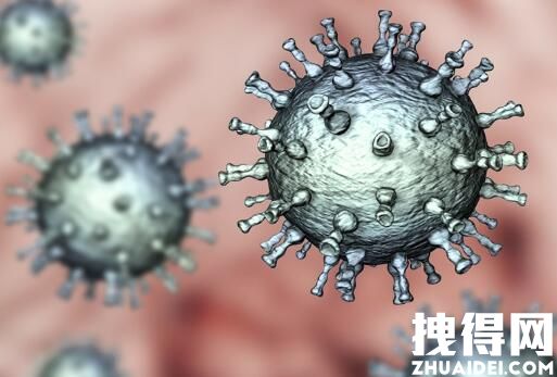 杭州通报10名小学生阳性:首次感染 背后真相实在是惊人
