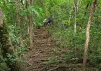 驴友爬山遭雷击:直挺倒下全身麻木 真相曝光简直太惊人了