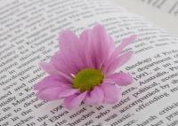 2023年中南财经政法大学录取分数线多少分(各专业怎么样好不好)