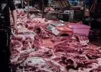 被禁生鲜灯:淘宝商家月销4000+ 背后原因简直惊呆了众人