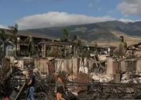 夏威夷大火后多人接房地产收购电话 为什么这么做原因是什么?