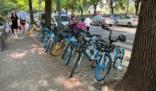 网友建议全面禁止共享单车 上海回应 规范企业有序发展