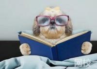 2024年江苏海洋大学录取分数线(今年高考所有分数线一览表参考)