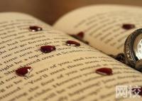 2024年天津轻工职业技术学院录取分数线(今年高考所有分数线一览表参考)