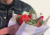 刘昊然重庆路演被送辣椒花 究竟是什么样的？