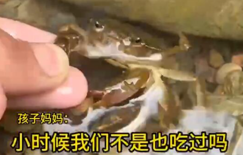 男童生吃蟹腿寄生虫钻进心脏 事件始末2025最新消息