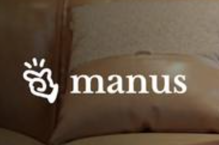 第一波用Manus赚钱的人出现了 背后真相实在让人惊愕