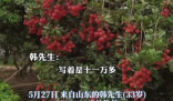 90后小伙拍下1300年荔枝树采摘权 究竟是怎么回事？