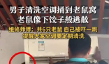 男子洗空调捅鼠窝 老鼠下饺子般逃散 一共6只老鼠