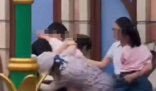 迪士尼打架是否互殴还需细心调查 此事引发热议