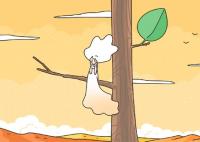 甘肃科兴职业学校2025年招生专业都有哪些