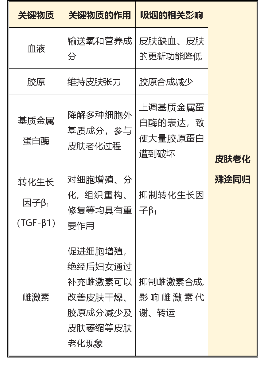 吸烟会导致皮肤老化？