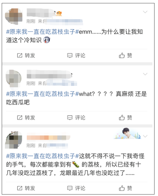 原来自己一直在吃荔枝虫子？网友坐不住了……