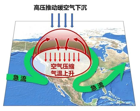 全球超级热浪谁的“锅”？研究指出局地“热穹顶”是关键原因